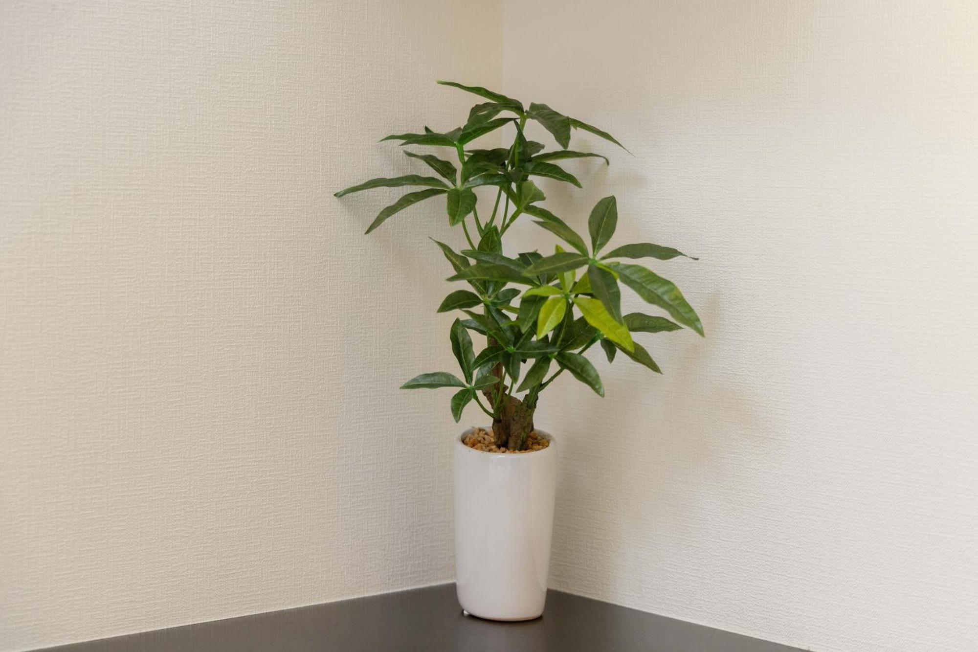Skytree View Kinshicho - Self Check-In Only Apartment Tokyo Exterior photo